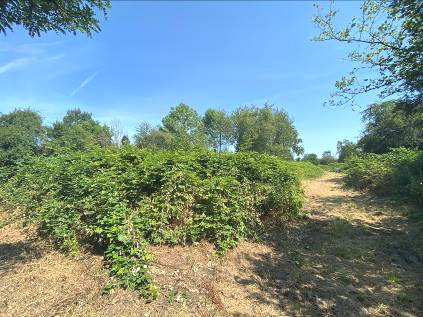 unbebaute Grün- bzw. Kleingartenfläche in Hanau - Bild 1