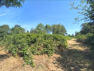 unbebaute Grün- bzw. Kleingartenfläche in Auf die Lachengräben, 63456 Hanau, Klein-Steinheim - Bild 1