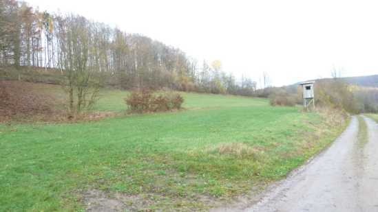 land- und forstwirtschaftlich genutztes Grundstück in Ludwigsau - Bild 3