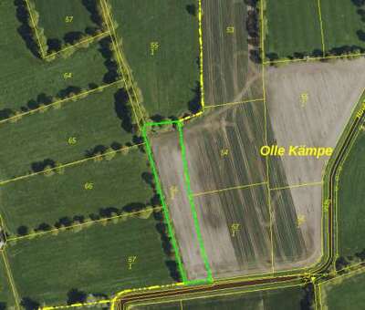 Landwirtschafliche Flächen in Neuenhaus-Weg (Kloster) / Wischland (keine öffentliche  Zuwegung), 26409 Hovel - Bild 2