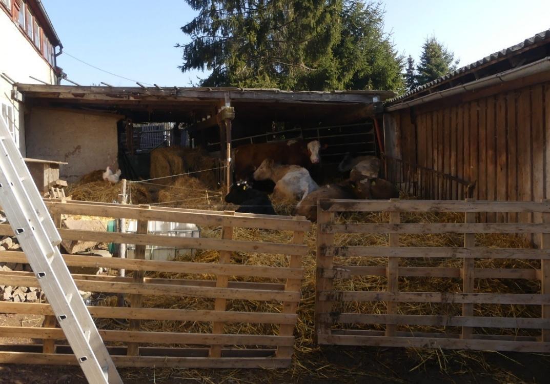 Bauernhaus in Dorfhain - Bild 4