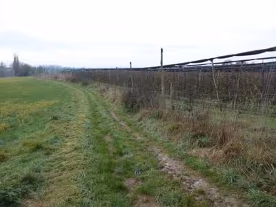 Landwirtschaftsfläche in , 69168 Wiesloch-Baiertal - Bild 2