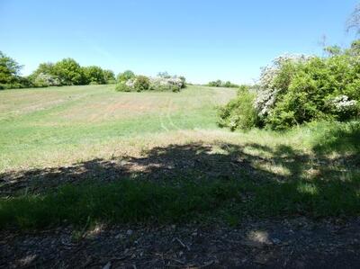 land- und forstwirtschaftlich genutztes Grundstück in Am Hopfberg und das Oberloh, 06526 Sangerhausen, OT Gonna - Bild 1