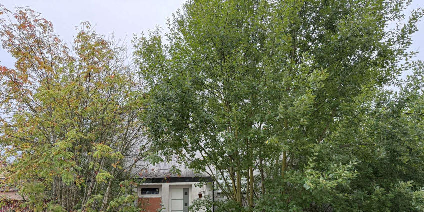 Zweifamilienhaus in Postbauer-Heng - Bild 1