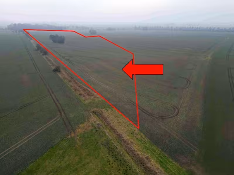 Landwirtschaftsfläche in Patzig - Bild 1