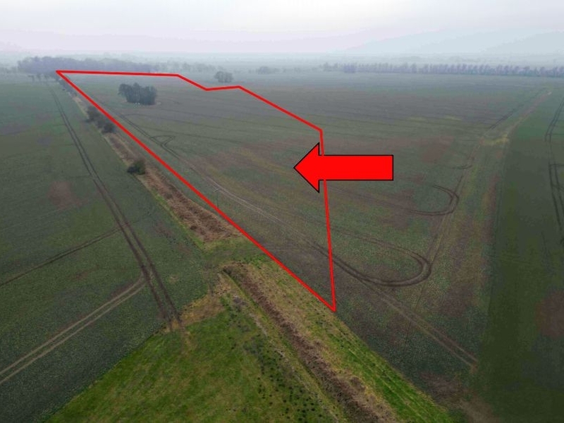 Landwirtschaftsfläche in Patzig - Bild 1