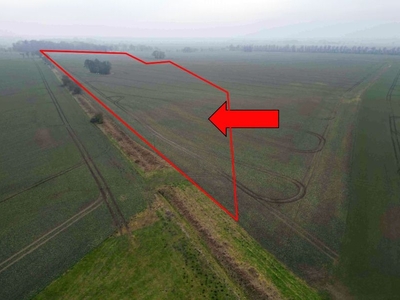 Landwirtschaftsfläche in , 18528 Patzig - Bild 1