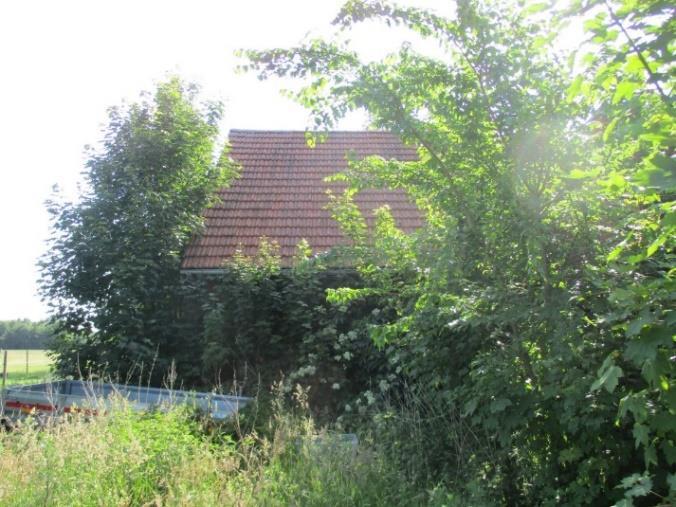 Sonstiges in Bassum - Bild 2