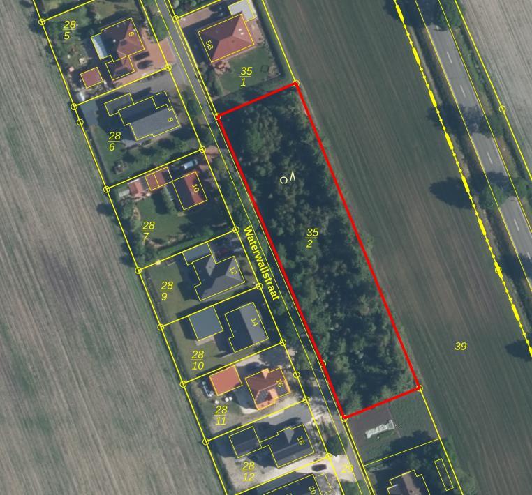 Sonstiges, unbebaute Gehölzfläche in Bunde - Bild 2