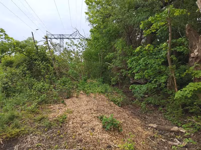 Unbebautes Grundstück in Wismar - Bild 2