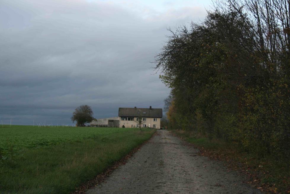 Einfamilienhaus, Resthofstelle und Nebengebäude in Burguffeln - Bild 4