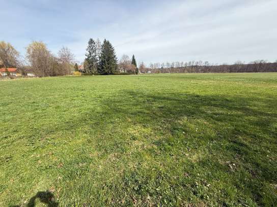 Landwirtschaftfläche in Münsing - Bild 4