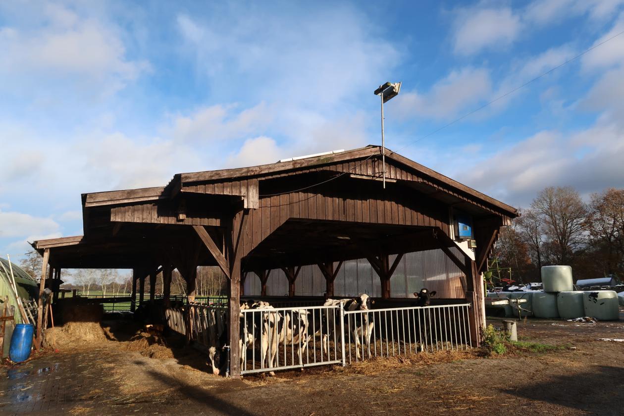 Sonstiges in Tange - Bild 3