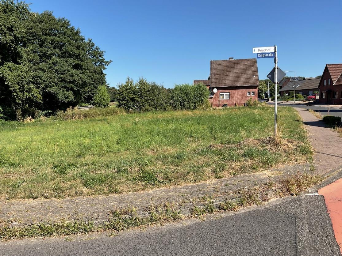 unbebautes Grundstück in Kamenz - Bild 1