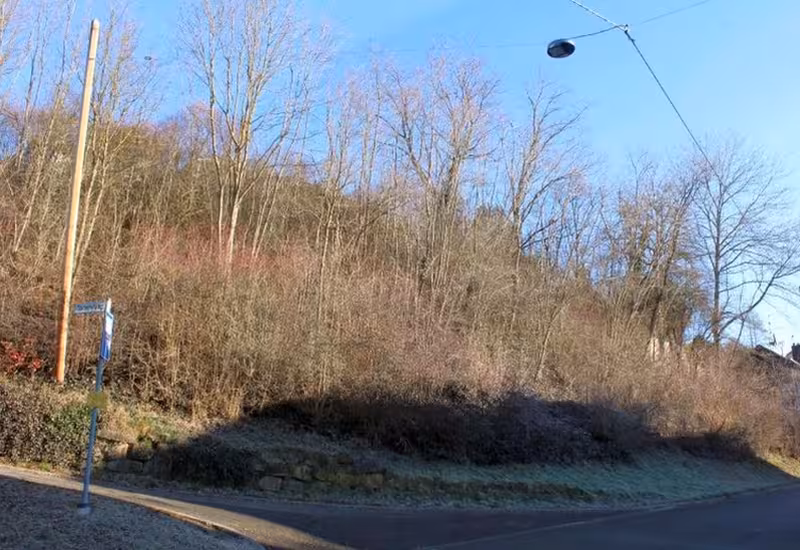 Unland (Böschung mit Gehölzen) in Leinfelden-Echterdingen - Bild 1