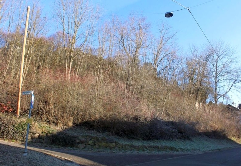 Unland (Böschung mit Gehölzen) in Leinfelden-Echterdingen - Bild 1