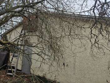 Wohn-/Geschäftshaus in Berlin - Bild 3