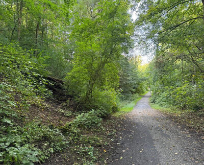 land- und forstwirtschaftlich genutztes Grundstück, land- und forstwirtschaftlich genutztes Grundstück in Monstadts Feld, Röhlinghauser Feld, 44651 Herne - Bild 1
