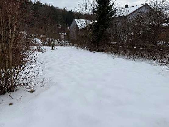 Baugrundstück in Sinzing - Bild 1