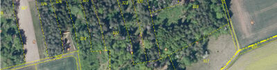 land- und forstwirtschaftlich genutztes Grundstück in Teuchatzer Bühl u.a., 00000 Herzogenreuth, Lindach, Tiefenpölz - Bild 2