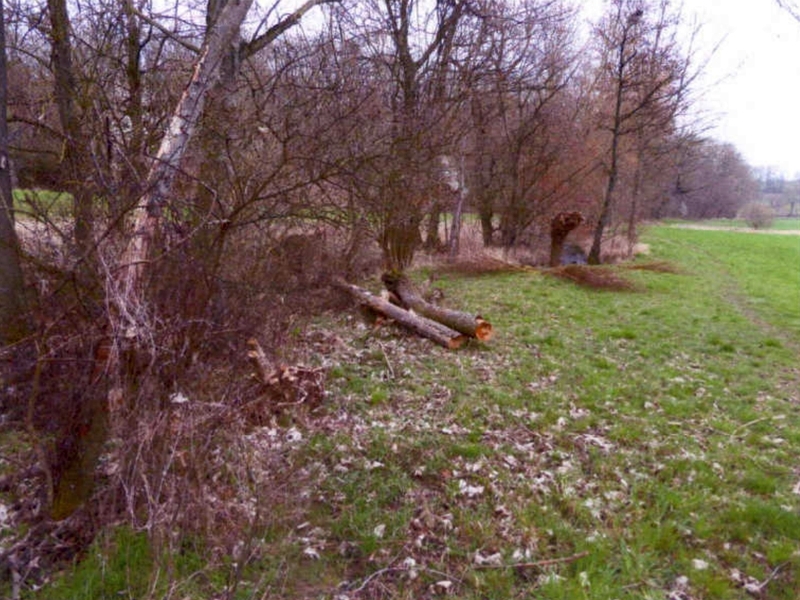 Landwirtschaftsflächen in Ludwigsburg - Bild 4