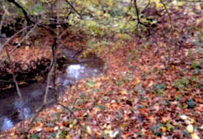 Landwirtschafts-/Waldflächen in Gomaringen - Bild 1