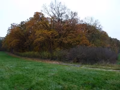 land- und forstwirtschaftlich genutztes Grundstück in Mühlfeld, 00000 Theilenhofen, Dornhausen - Bild 1