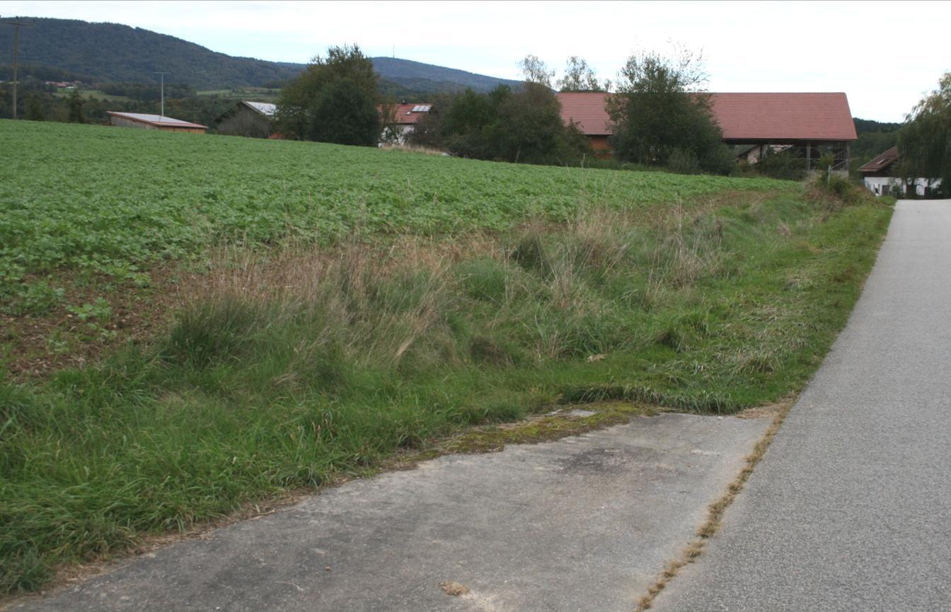 land- und forstwirtschaftlich genutzte Grundstücke in Grattersdorf - Bild 3