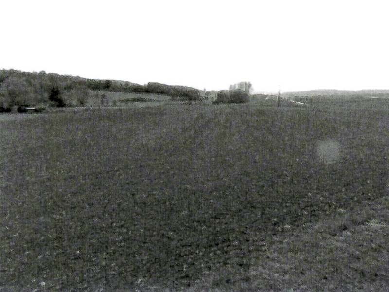 Landwirtschaftsflächen in Ammerbuch - Bild 4