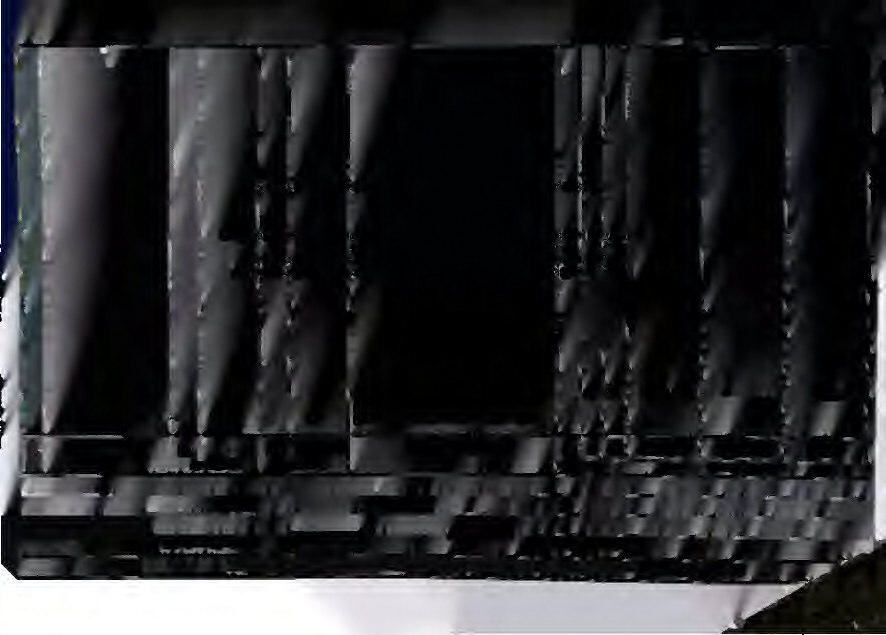 Grünland in Schmitten - Bild 2