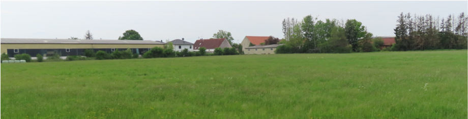 land- und forstwirtschaftlich genutztes Grundstück in Königsbrunn - Bild 2