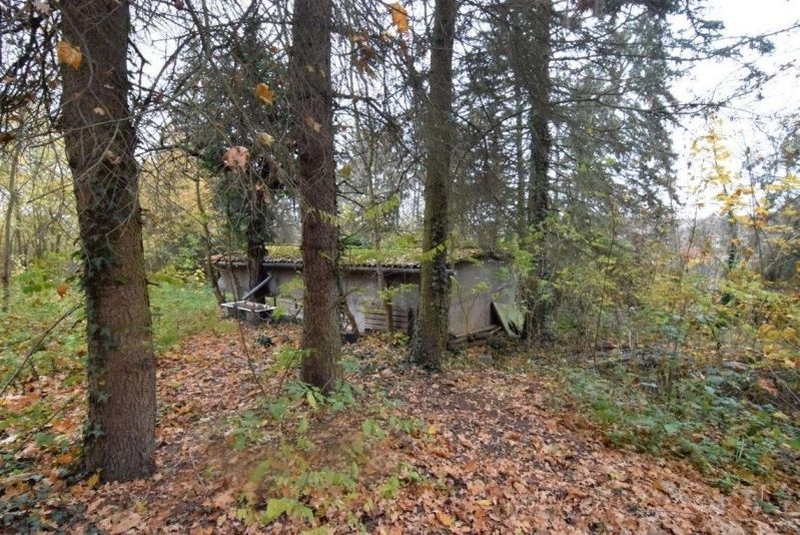 Überwiegend unbebautes Grundstück in Burg - Bild 3