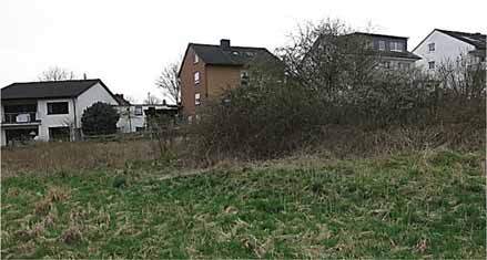 Sonstiges in Brakel - Bild 3