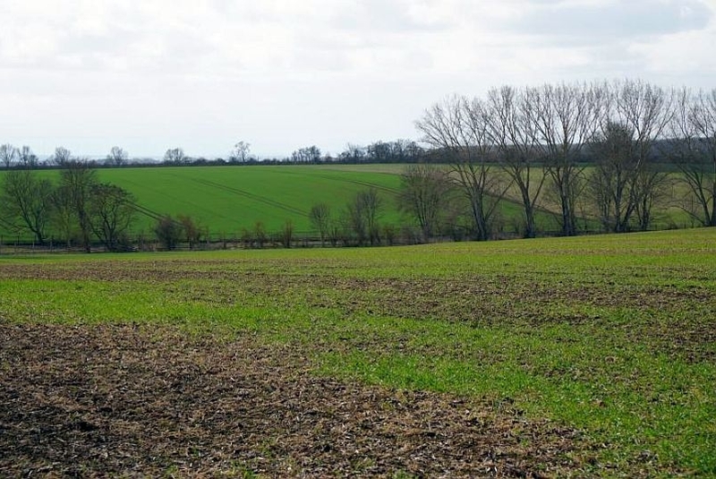 Landwirtschaftsfläche in Wanzleben-Börde - Bild 1
