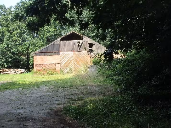 Einfamilienhaus, mit Nebengebäude, Stallgebäude u. a. in Lathen - Bild 3