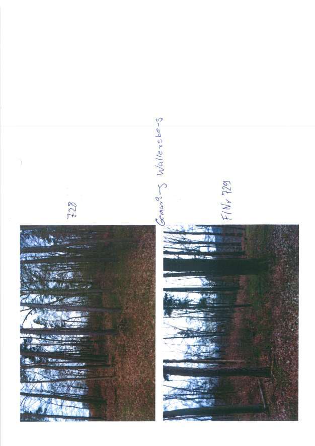 siehe Beschreibung in Weismain - Bild 2