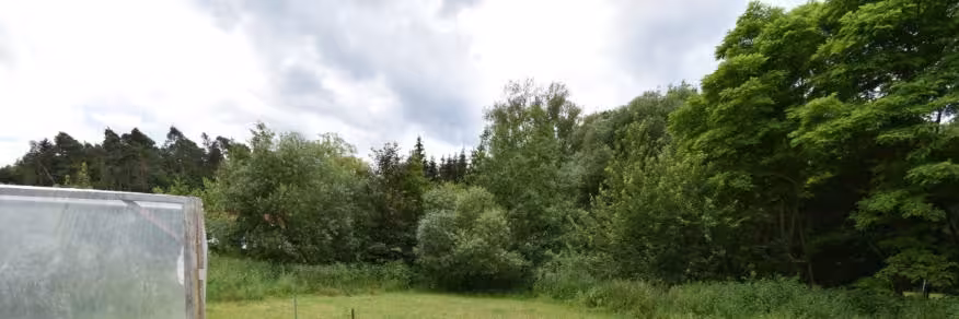Einfamilienhaus, land- und forstwirtschaftlich genutztes Grundstück in Mörlach - Bild 15