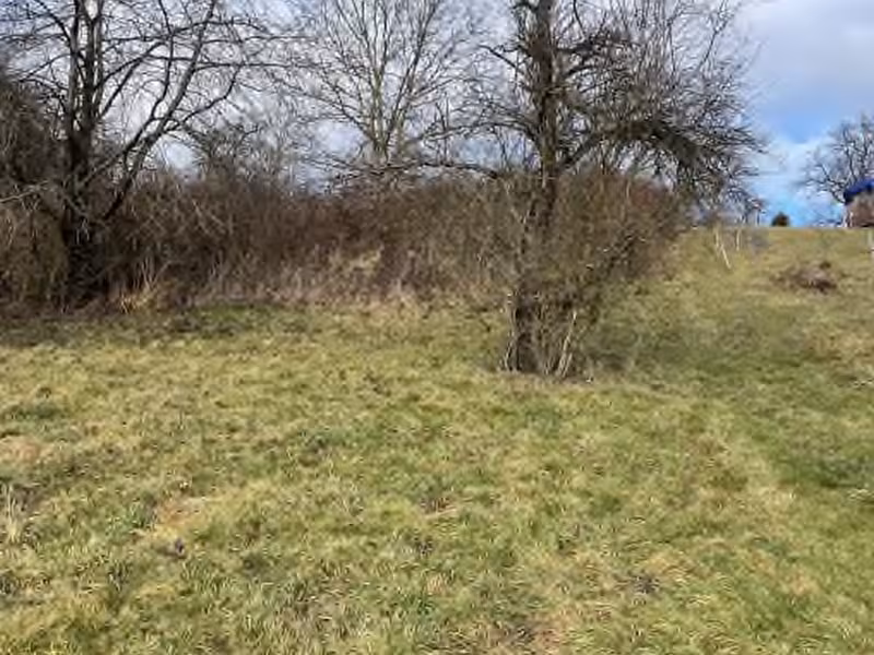 Bauplatz und Grün-/Gartenland in Gomaringen - Bild 2