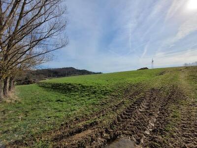 land- und forstwirtschaftlich genutztes Grundstück in Unter dem Graben, 35239 Steffenberg, Niedereisenhausen - Bild 2