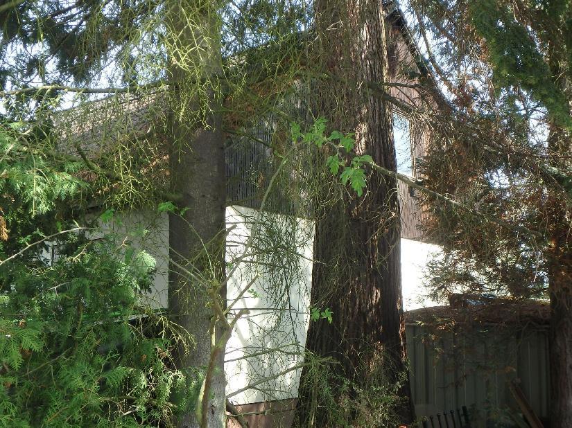 Einfamilienhaus in Berlin - Bild 4
