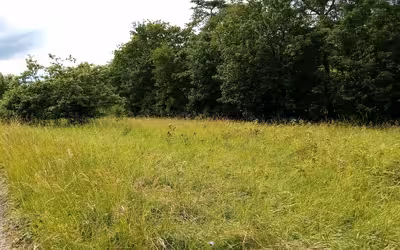 Ehem. landwirtschaftliches Anwesen mit Waldfläche/Grünland in Alleestraße 17, 74214 Schöntal OT Marlach - Bild 2