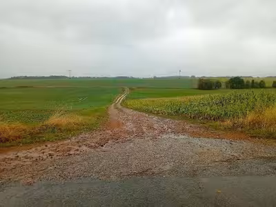 Landwirtschaftsflächen in An der Kreisstraße nach Gottin, 17168 Warnkenhagen - Bild 1