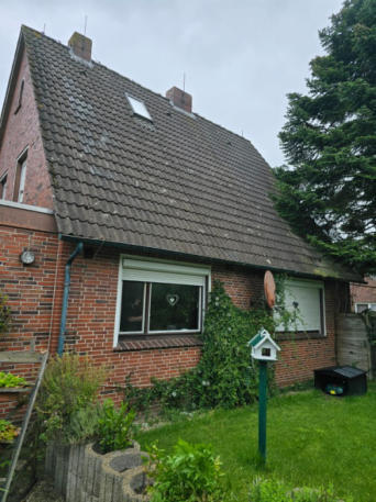 Einfamilienhaus, Einfamilienhaus mit Nebengebäuden in Rhauderfehn - Bild 4