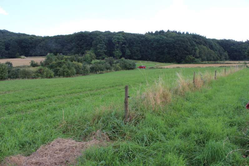 land- und forstwirtschaftlich genutztes Grundstück in Wachtberg - Bild 4