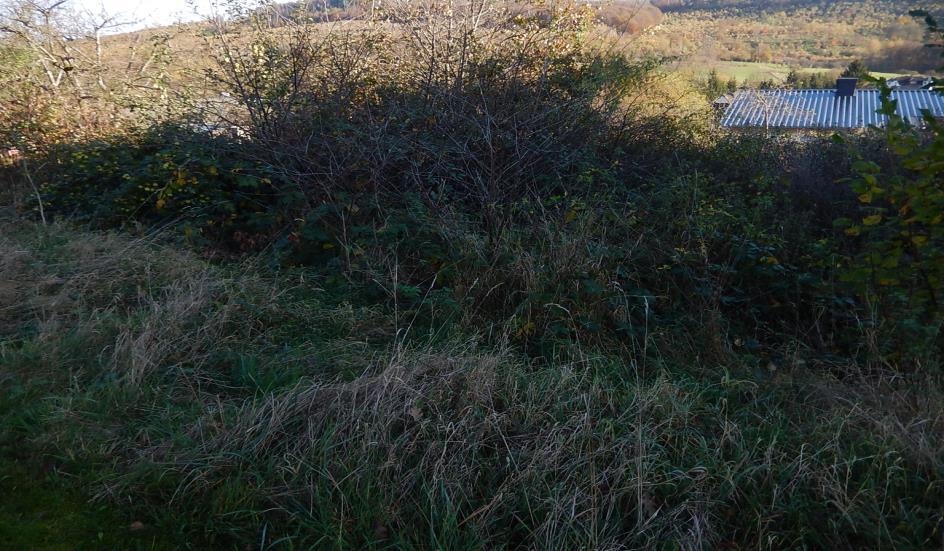 land- und forstwirtschaftlich genutztes Grundstück in Haiger - Bild 4