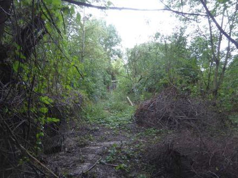 Landwirtschaftsflächen in Sandhausen - Bild 1