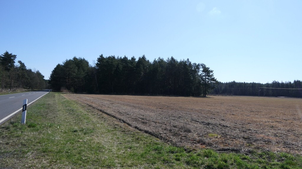land- und forstwirtschaftlich genutztes Grundstück in Lohsa - Bild 1