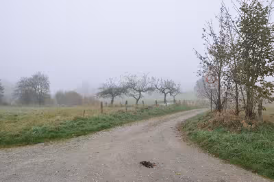 unbebautes Grundstück, land- und forstwirtschaftlich genutztes Grundstück in , 51647 Gummersbach, Herreshagen - Bild 1