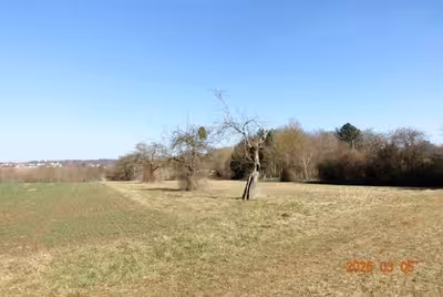 Landwirtschaftsfläche in , 71034 Böblingen - Bild 2