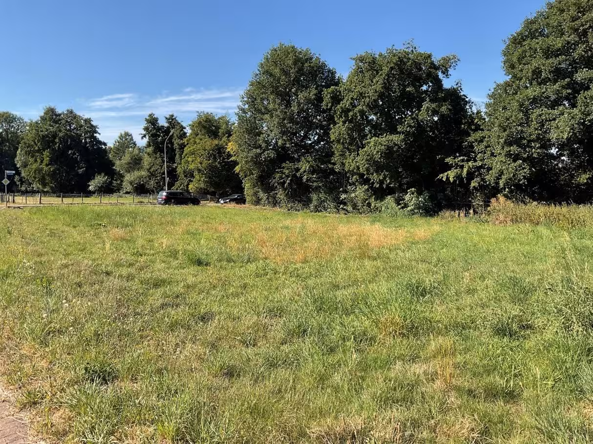 unbebautes Grundstück in Kamenz - Bild 2